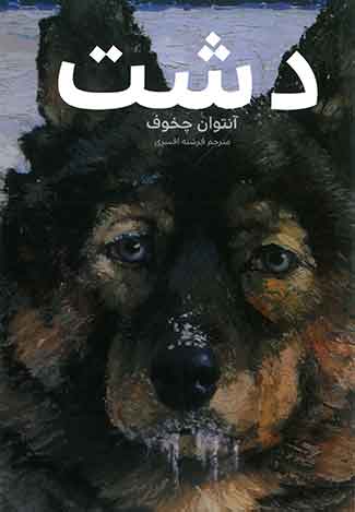 دشت