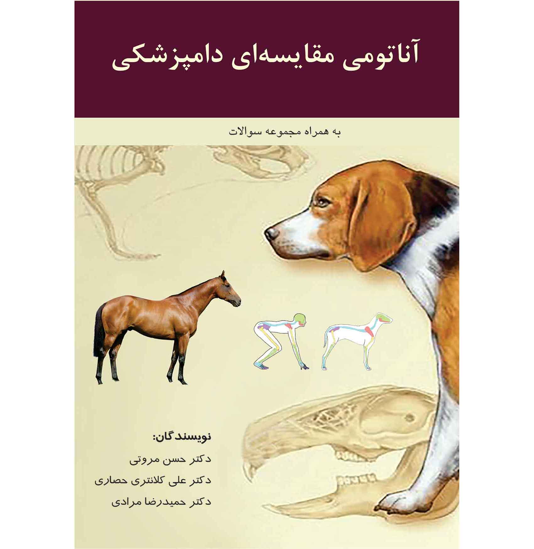 آناتومی مقایسه ای دامپزشکی