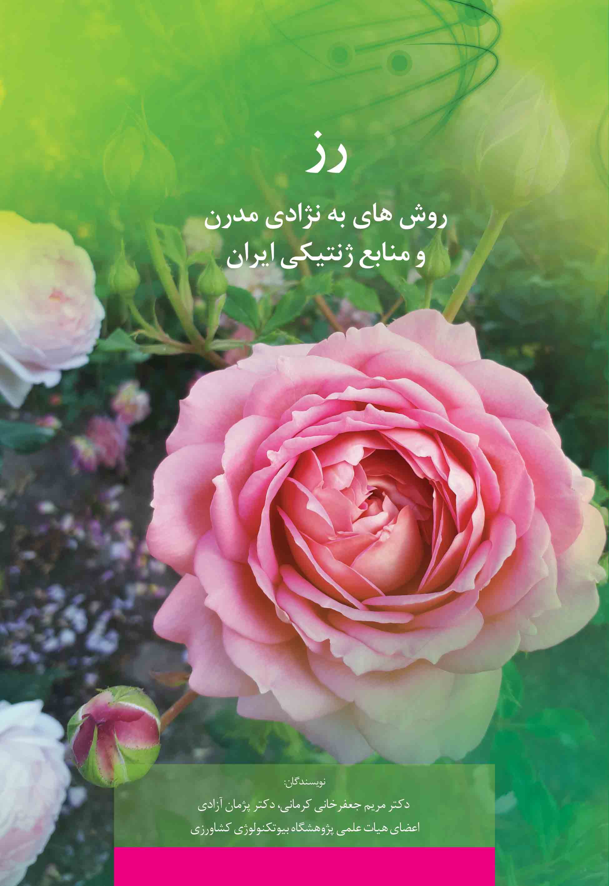 رز،  روش های به نژادی مدرن و منابع ژنتیکی ایران