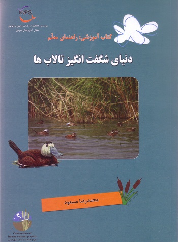 دنیای شگفت‌انگیز تالاب‌ها