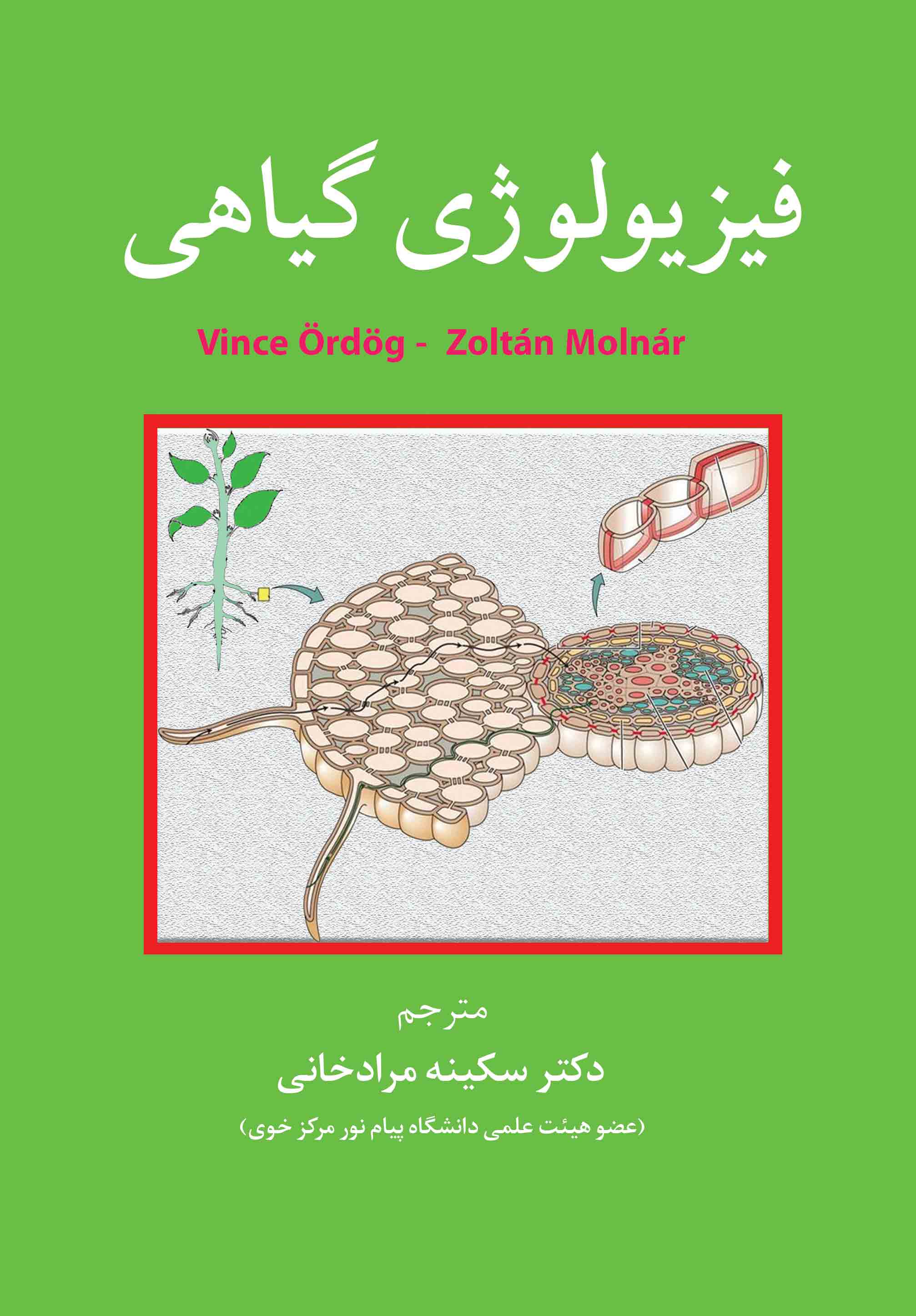 فیزیولوژی گیاهی