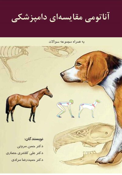 384 آناتومی مقایسه ای دامپزشکی
