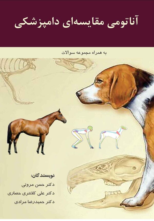 384 آناتومی مقایسه ای دامپزشکی